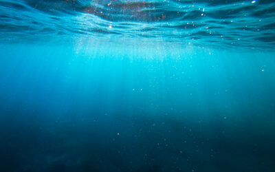 Going Off The Deep End: Embracing Transformation